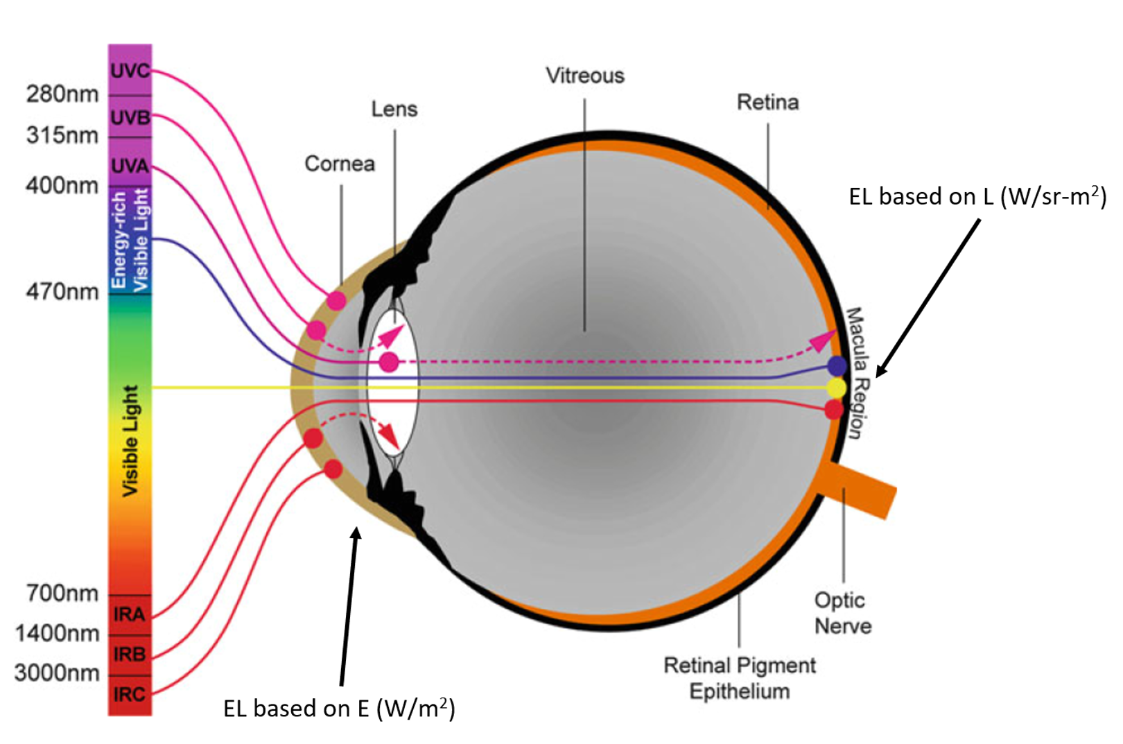 Safety Understanding IEC 62778 and Using KV,B to Calculate White