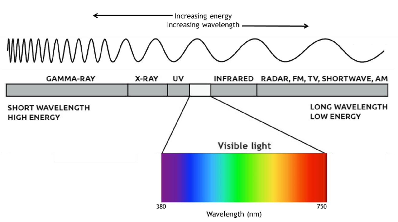 How Do Humans See Light And Color Luminus Devices